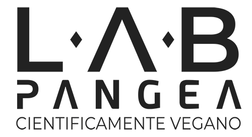 LOGO_LAB_PANGEA_preto
